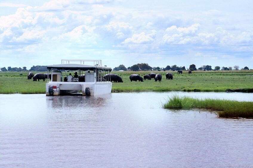 Sunset Cruise on Chobe River with Hotel Pickup from Kasane 3