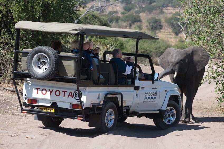 Chobe National Park Game Drive, Botswana 2