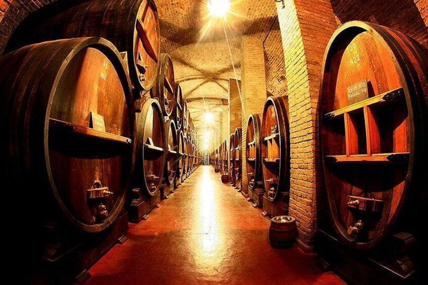 Winery 4