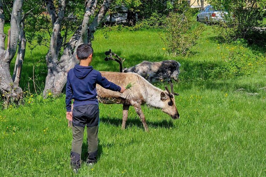 En person i en blå huvtröja och gröna byxor går på en gräsklädd åker med får. 2