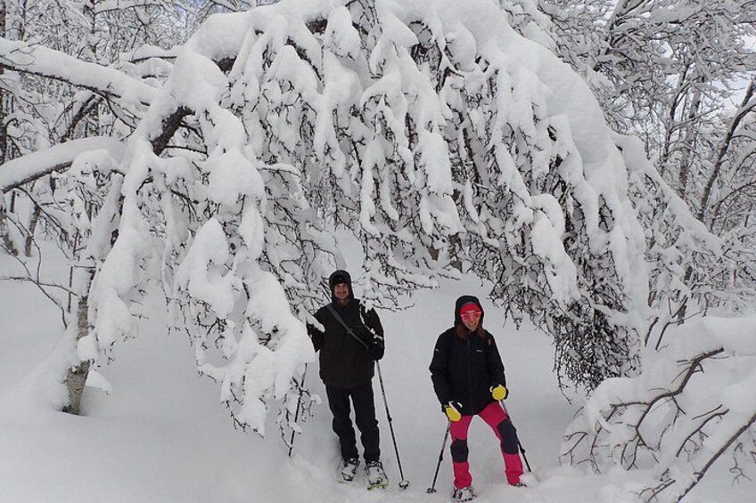 Twee mensen skiën in een besneeuwd bos. 2