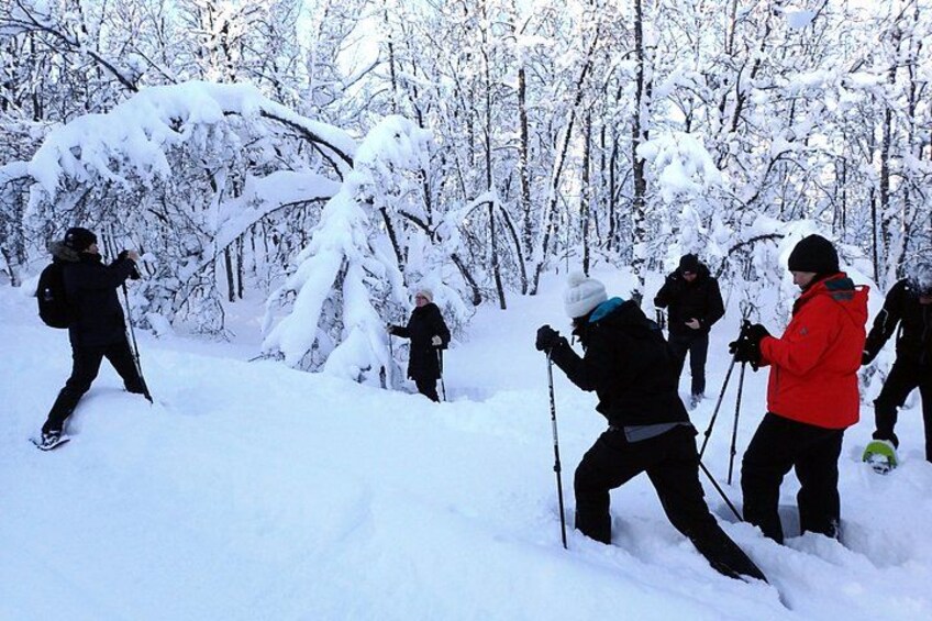 Een groep mensen skiën dwars door een besneeuwd bos. 3