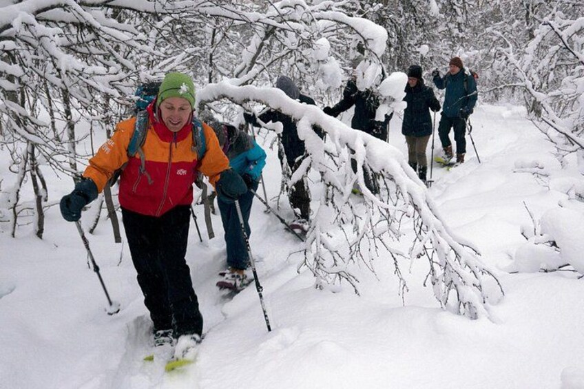 Mensen skiën op langlaufski's door een besneeuwd bos. 4