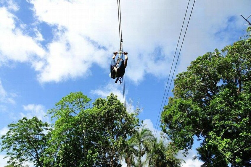Canopy 3