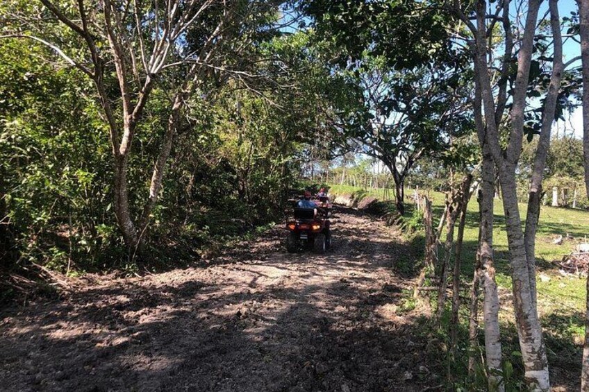 Four Wheeler 4