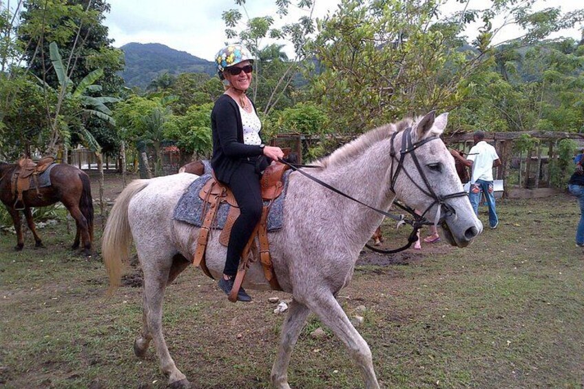 Una persona cavalca un cavallo in una zona erbosa, con alberi e una recinzione sullo sfondo. 4