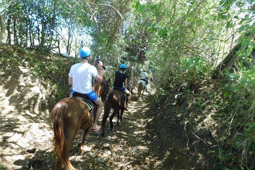 Puerto Plata Horseback Riding 4