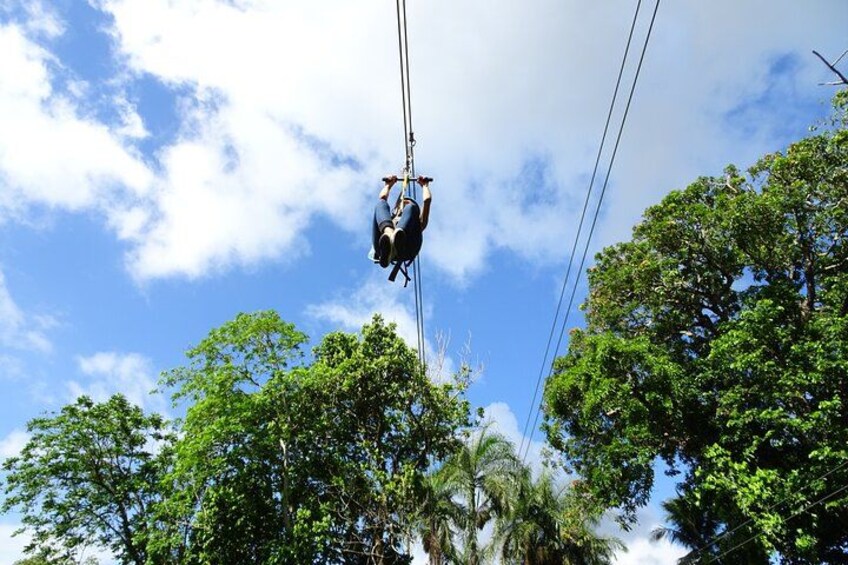 Ride N Zip Adventure 2