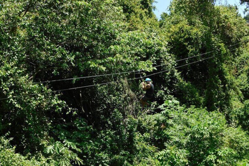 Una persona haciendo tirolesa a través de un bosque frondoso. 5