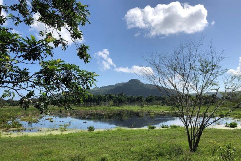 Dominican Countryside 1