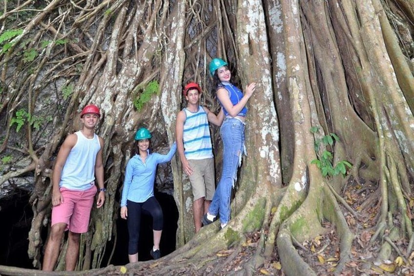 Four people standing on a tree trunk surrounded by roots. 3
