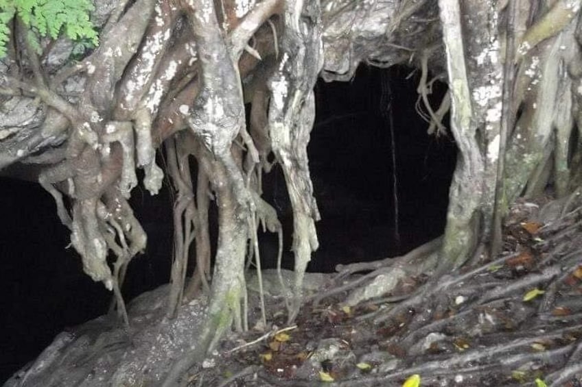 Window Cave Walking Tour from San Juan 3