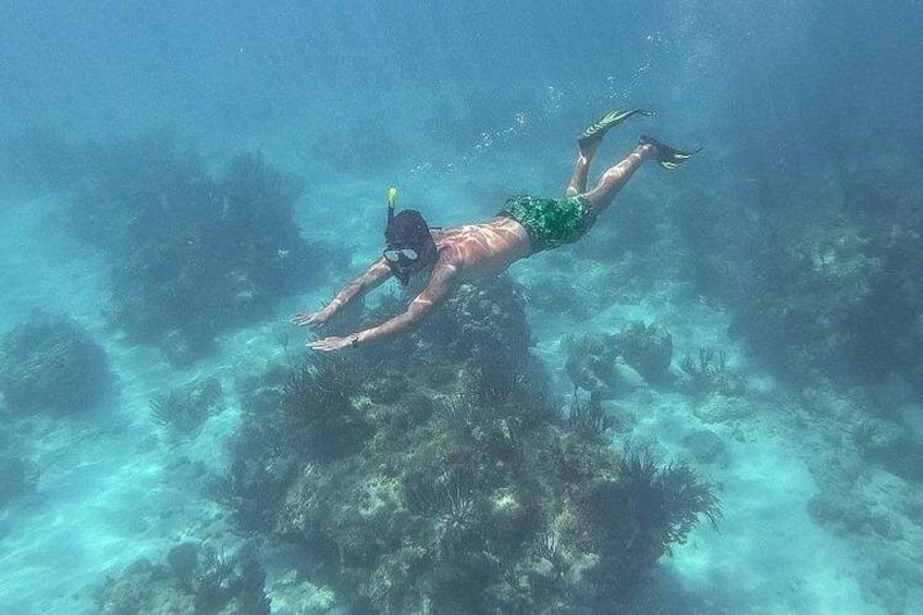 A person snorkeling underwater. 2