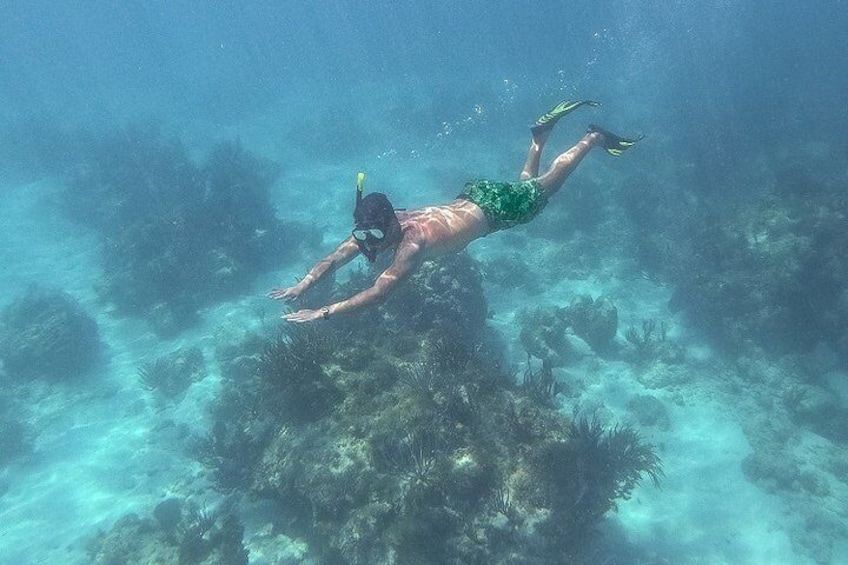 Una persona haciendo snorkel bajo el agua. 3