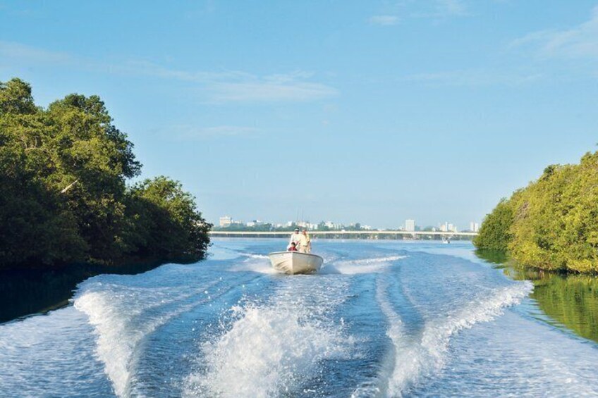 Light Tackle Tarpon Fishing 4