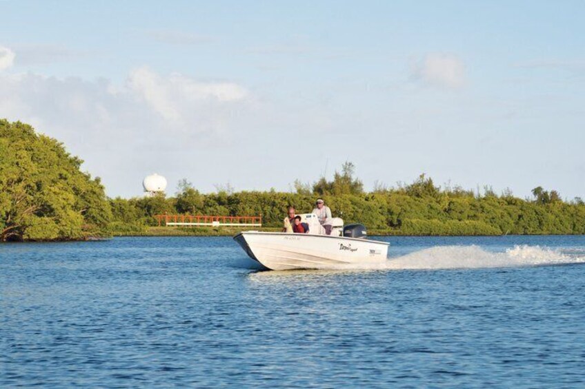 Light Tackle Tarpon Fishing 2