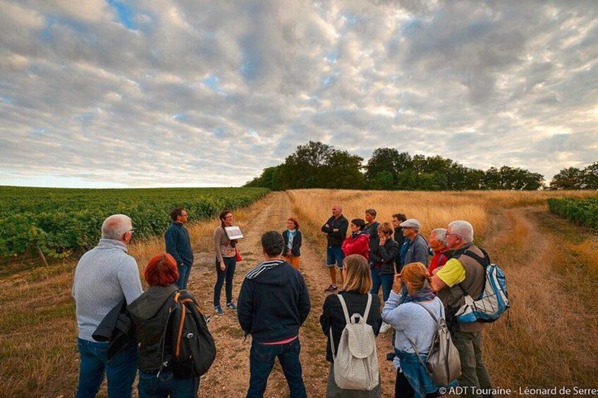 A group of people standing on a dirt path in a field, looking at a presentation. 1