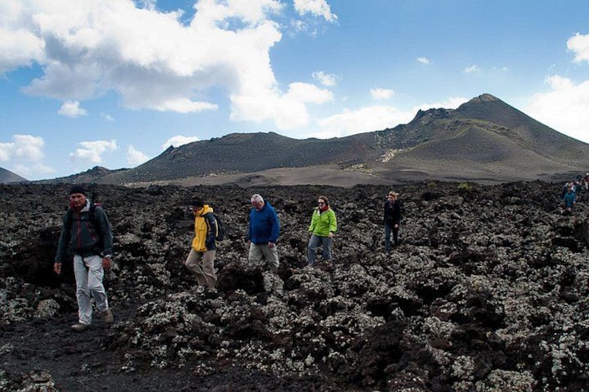 3-Hour Walking Tour in Los Volcanes Nature Reserve 5