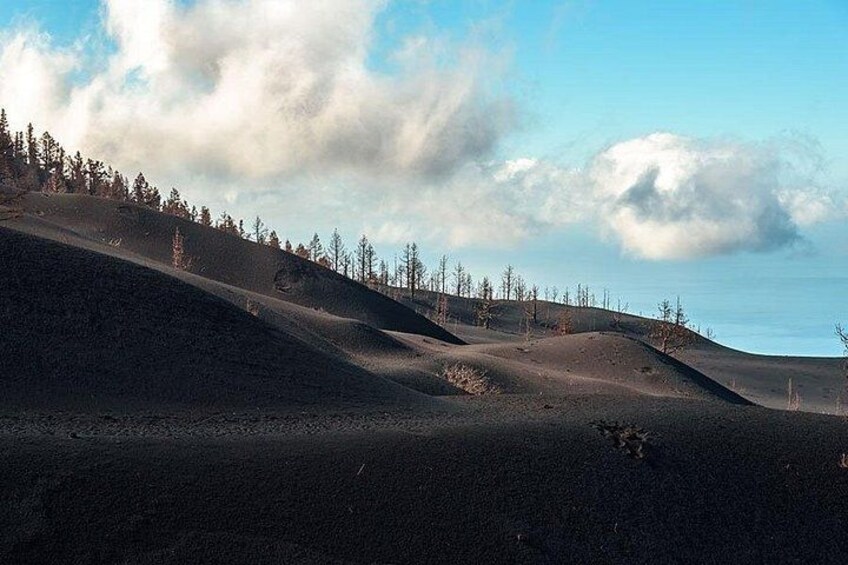 Hiking Route Visit to the New Volcano of La Palma 4