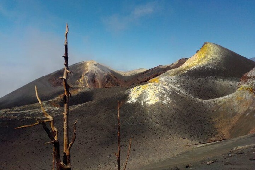 A barren volcanic landscape with a prominent hill and a dead tree in the foreground. 3