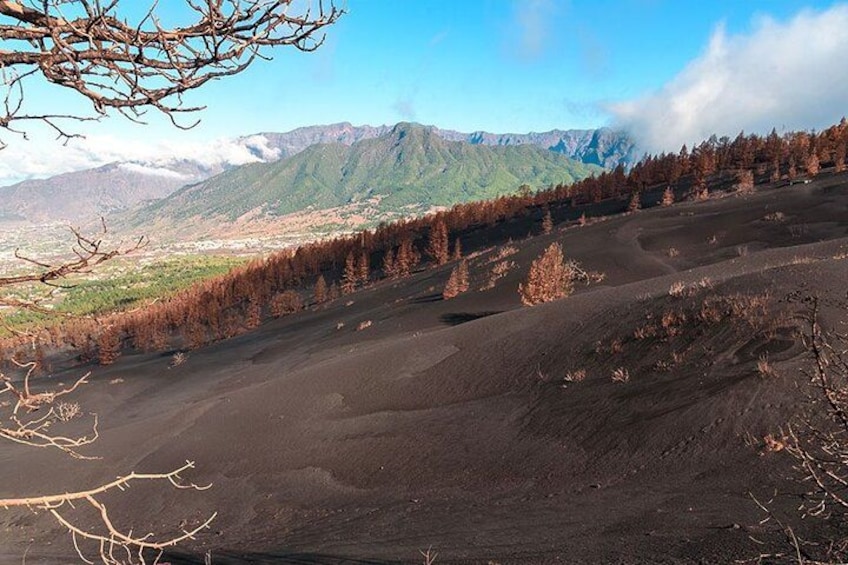 A volcanic landscape with a forested area, a clear sky, and distant mountains. 3