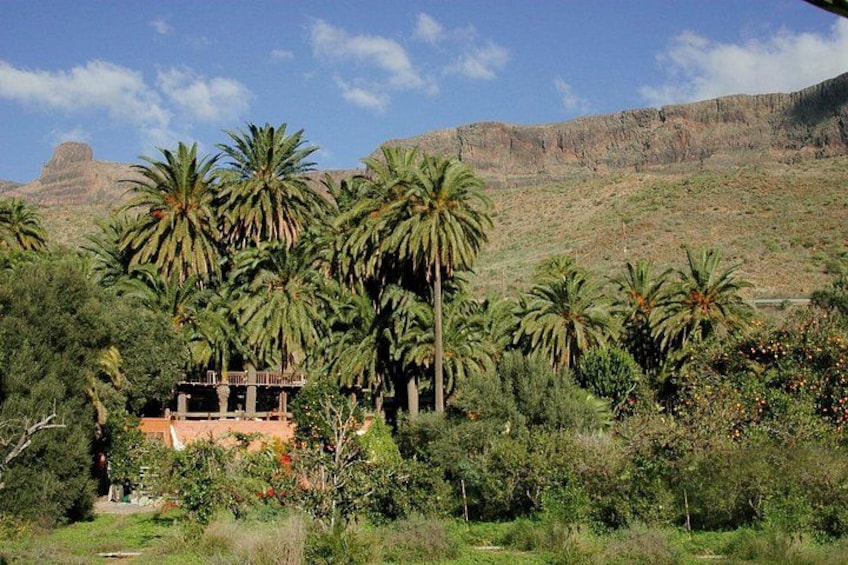 A house surrounded by palm trees and a mountainous landscape. 1