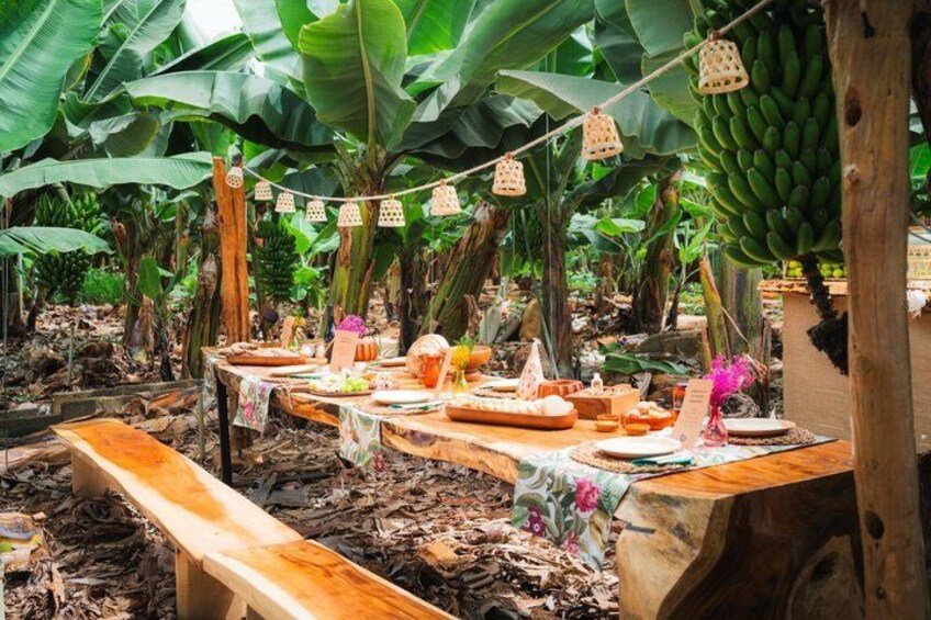 A tropical outdoor dining area with wooden tables, hanging lanterns, and banana plants. 4