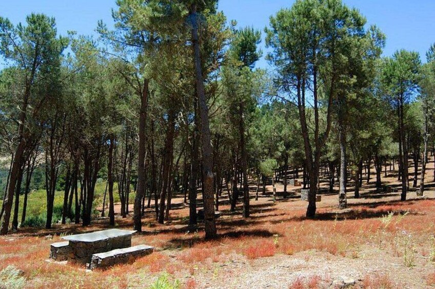 Panorama VIP Tour in Gran Canaria 3