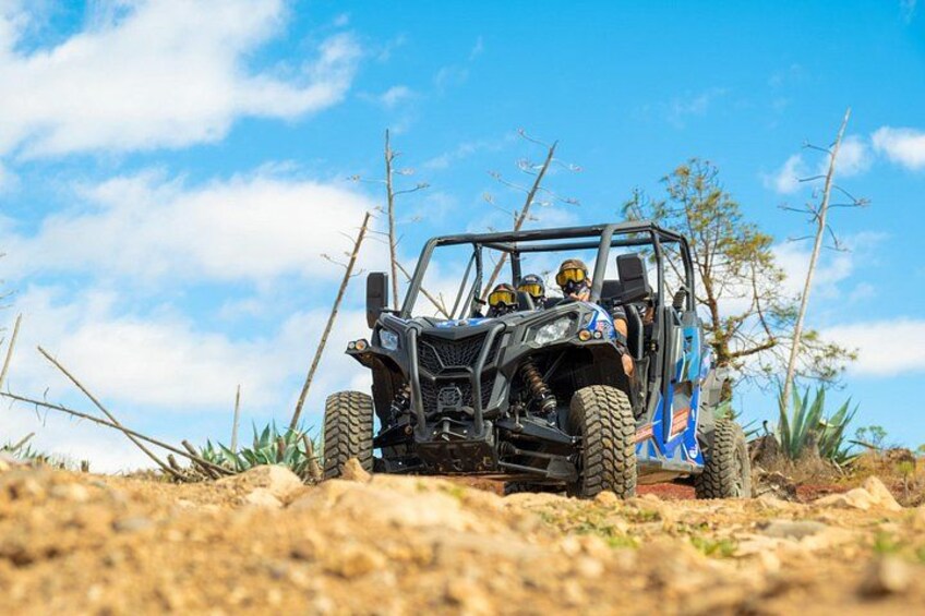 Buggy Safary in Gran Canaria South for 2 persons 2