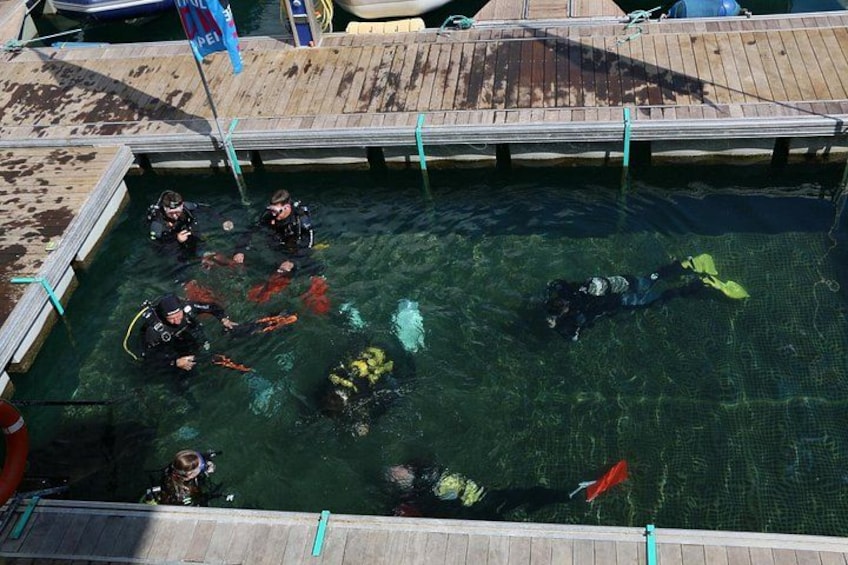 Scuba Diving Baptism in Caleta de Fuste 1