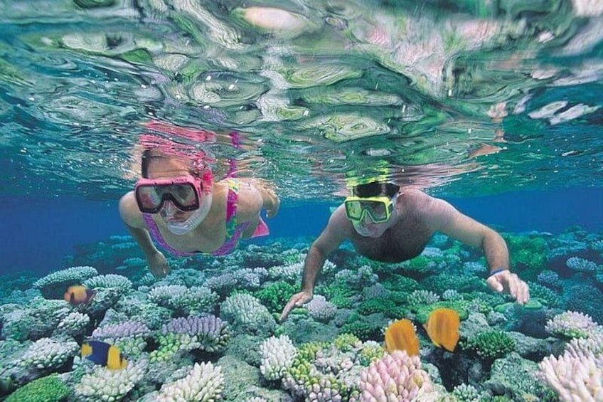 Snorkel Experience in Caleta de Fuste 1