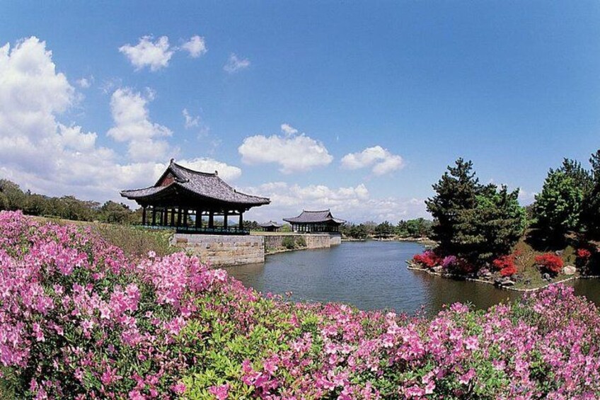 A traditional pavilion by a lake with pink flowers in the foreground. 5