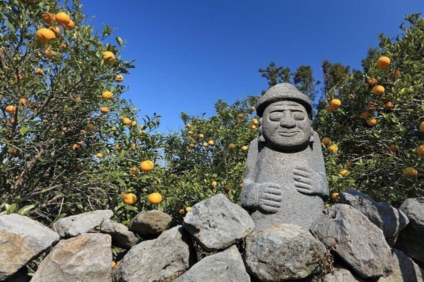 Jeju 4