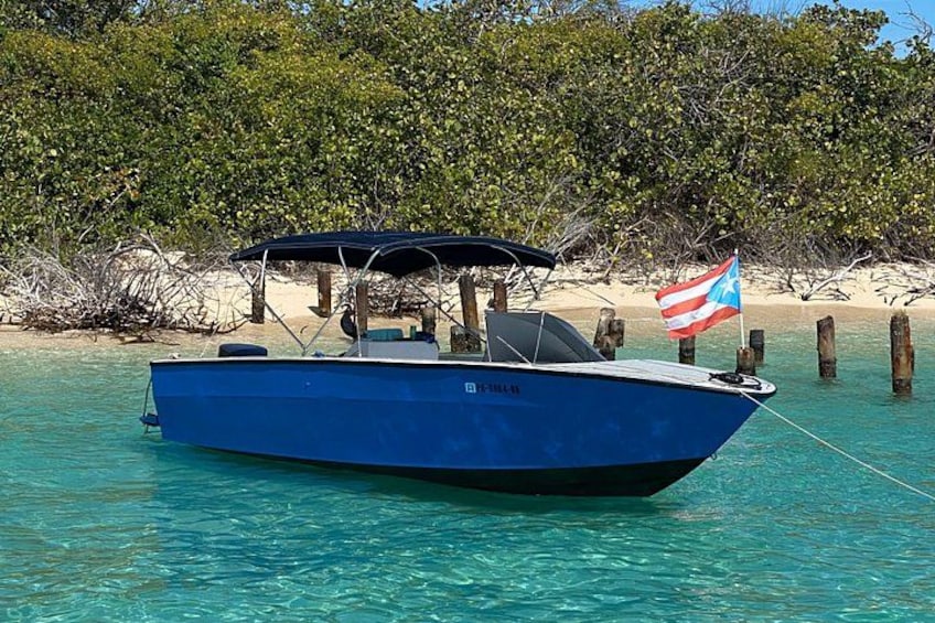 Un bote azul con bandera estadounidense, anclado cerca de una playa arenosa con manglares al fondo. 2