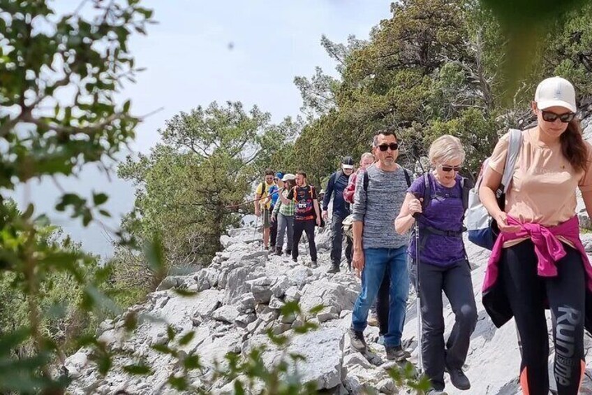 Un grupo de excursionistas en un sendero rocoso rodeado de árboles. 1