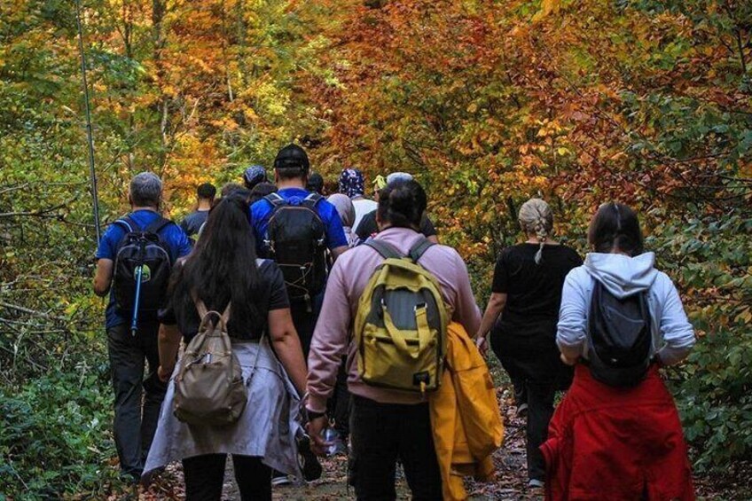 Un grupo de excursionistas caminando por un área boscosa con follaje otoñal. 2