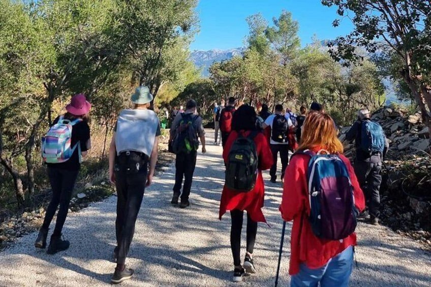 Un grupo de excursionistas en un sendero de grava, rodeado de árboles y montañas al fondo. 3