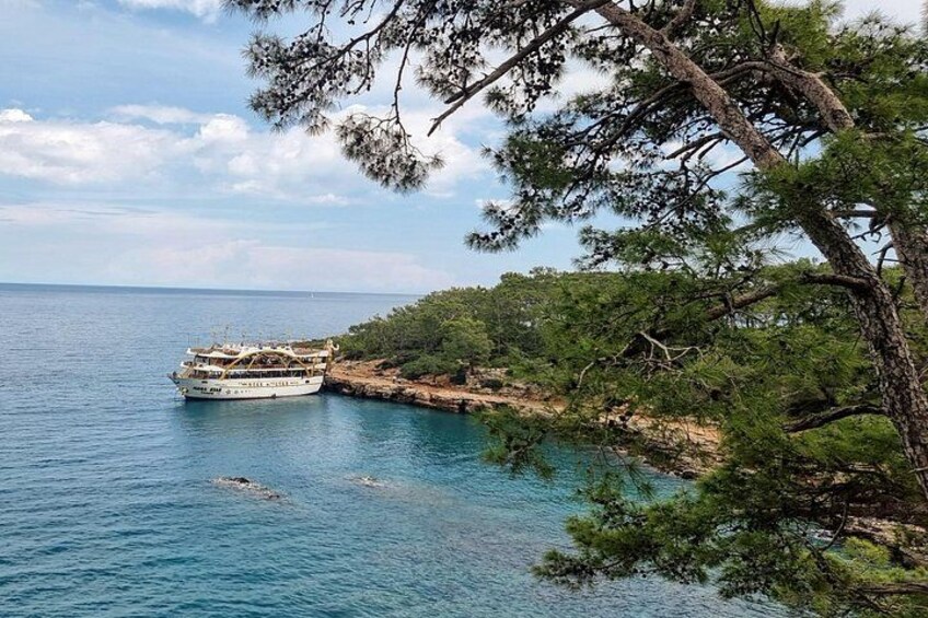 A cruise ship docked at a coastal area with clear blue water, surrounded by dense green pine trees and rocky terrain. 3