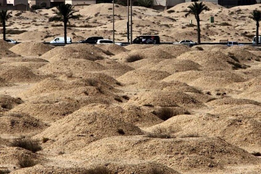 Private Half Day Bahrain Heritage Tour 2
