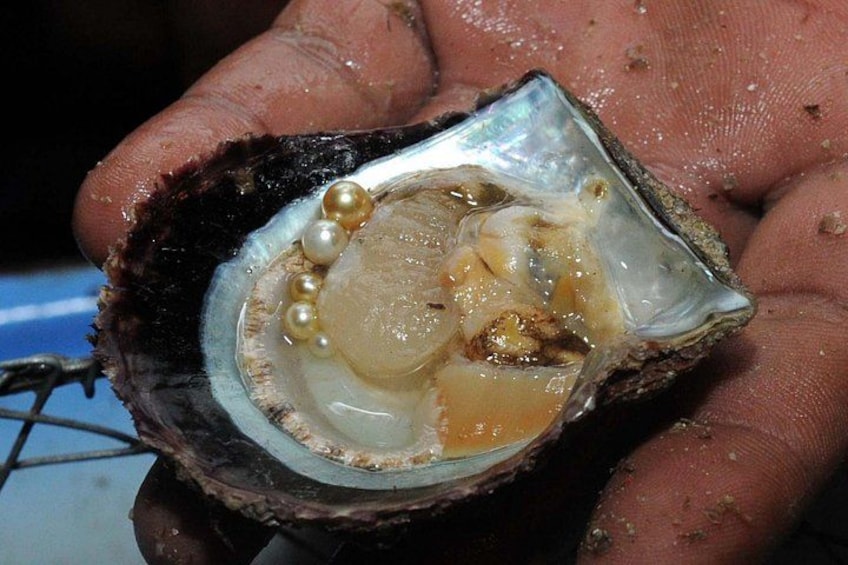 A hand holding an oyster with pearls inside. 2