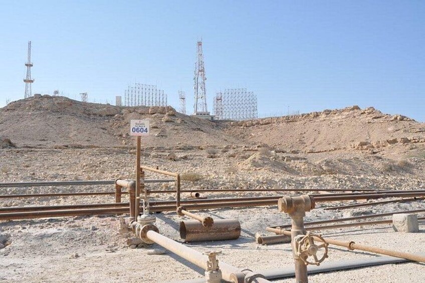 Nature Flora and Fauna Trip from Manama 3