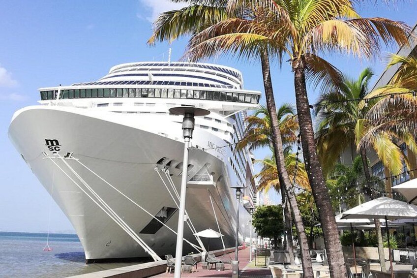 A cruise ship docked at a port with palm trees and a clear sky. 4
