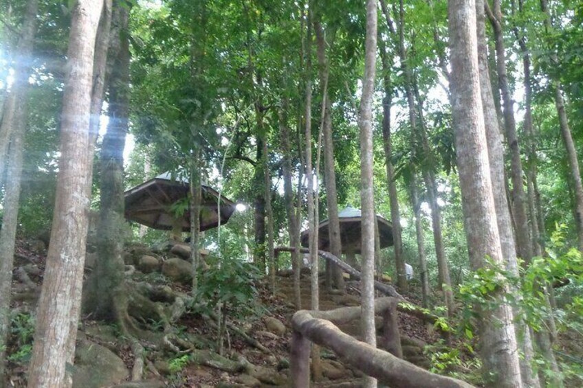 Private Tour: Amazing Estrella Falls from Puerto Princesa