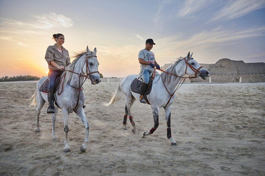 Arabian Sunset Horse Riding & Stable Tour 1