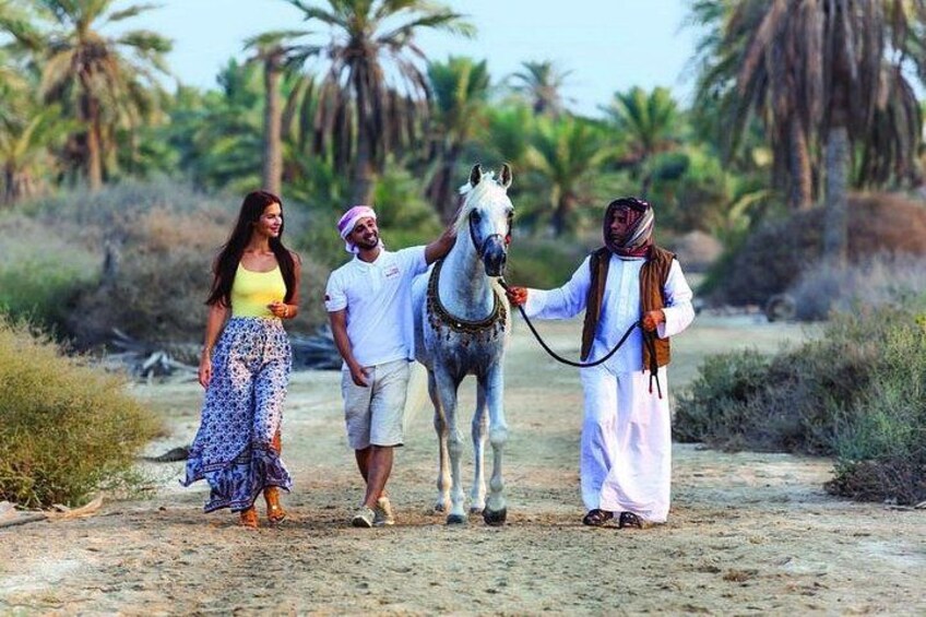 Arabian Morning Horse Riding & Stable Tour 1