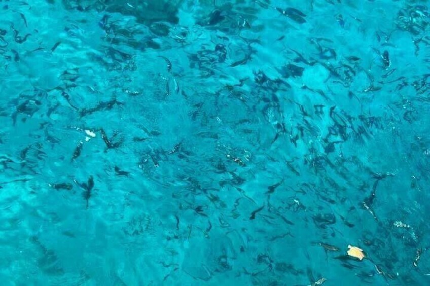 Blue Lagoon & Comino Cruise with Swimming Stops and Sea Caves 3