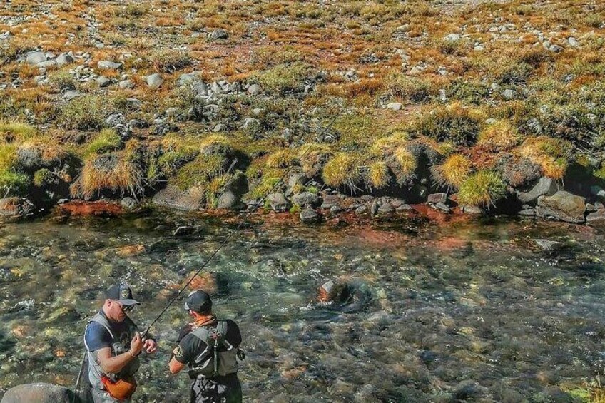 Fly Fishing on Private Andean River Including Barbecue Lunch 3