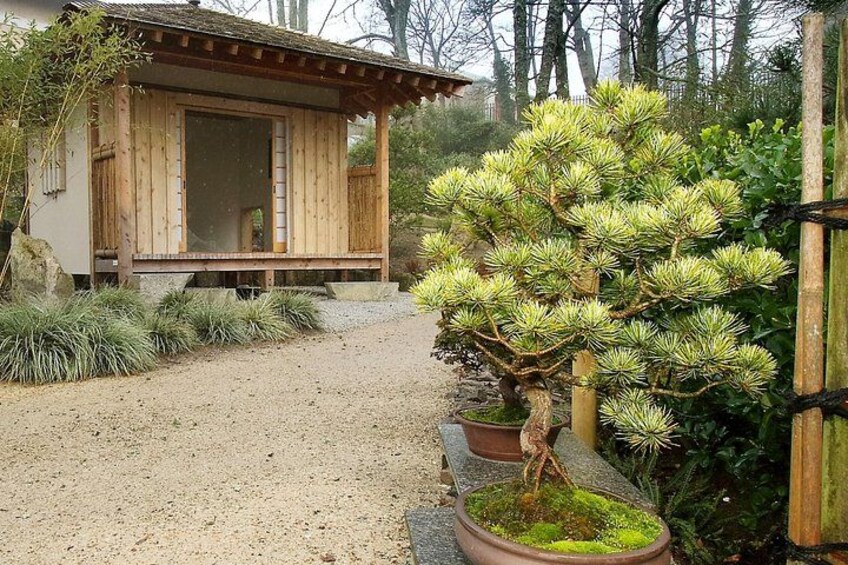 Lafcadio Hearn Japanese Gardens Admission Adult Ticket 4