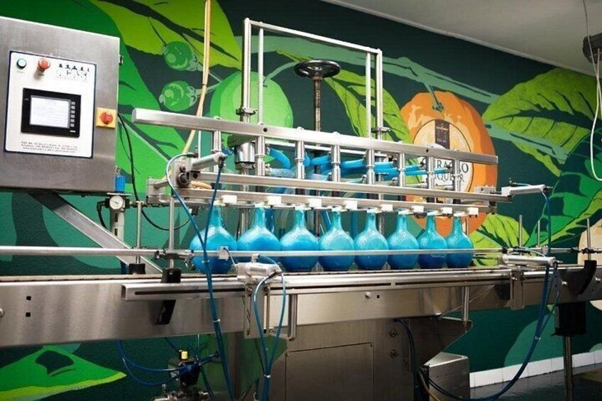 Guided Tour at the Curaçao Liqueur Distillery 5