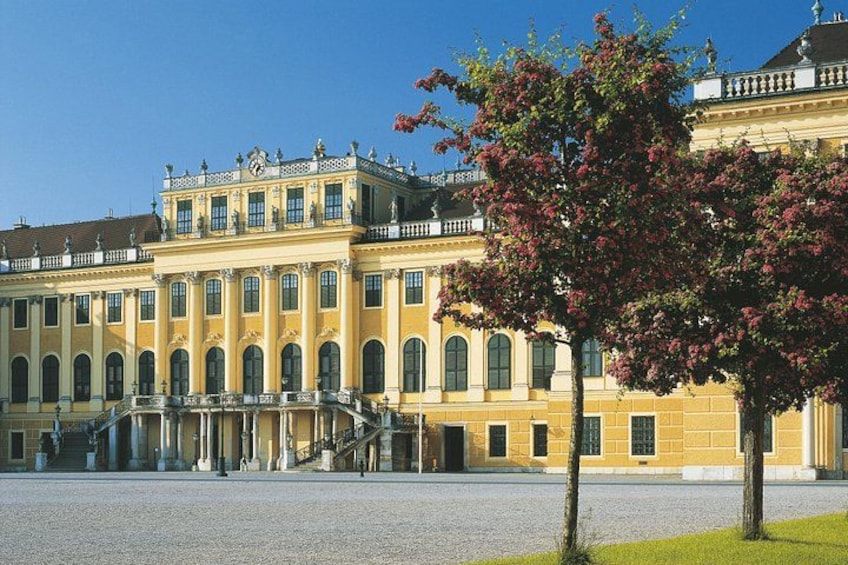 Visit Schoenbrunn Palace and gardens with a private expert guide 4
